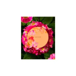 Discount Seeking Flowers Iluminador Crema A Polvo Iluminadores Maquillaje