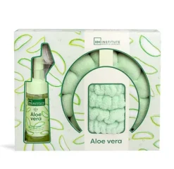 Sale IDC INSTITUTE Set Aloe Vera Foam Cleanser