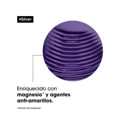 Silver Shampoo*L'OREAL PROFESSIONNEL Discount