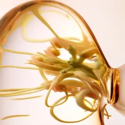 Outlet Skin Essentials Refreshing Express Cleanser Limpieza