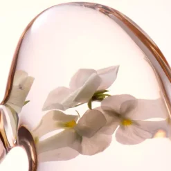 Online Skin Essentials Softening Perfecting Toner Limpieza