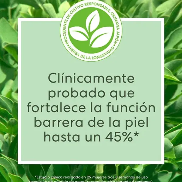 Skinlongevity Long Life Herb Serum*BAREMINERALS Clearance