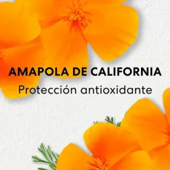 Skinlongevity Long Life Herb Serum*BAREMINERALS Clearance