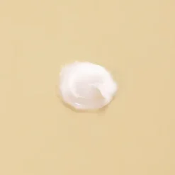 Snail Wrinkle Care Sleeping Pack*MIZON Hot