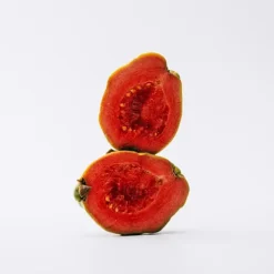 Online Solo Perfumes