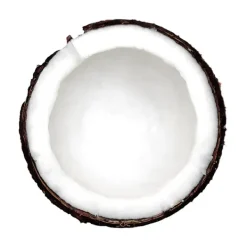 Sérum Protein Shot*LACABINE Hot