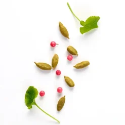 Stronger With You Eau De Toilette*ARMANI New