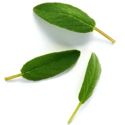 Stronger With You Eau De Toilette*ARMANI New