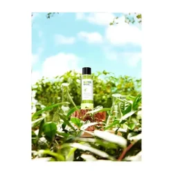 Sale Super Matcha Limpieza