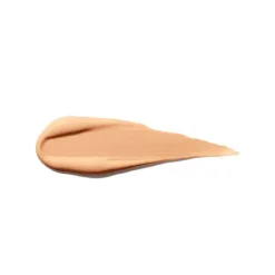 Synchro Skin Self-Refreshing Concealer*SHISEIDO Clearance