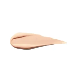 Synchro Skin Self-Refreshing Concealer*SHISEIDO Clearance