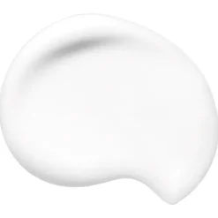 Synchro Skin Soft Blurring Primer*SHISEIDO Hot