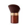 Terracotta Brush*GUERLAIN Hot