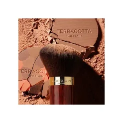 Terracotta Brush*GUERLAIN Hot