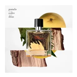 Discount Terre D'hermes Perfumes