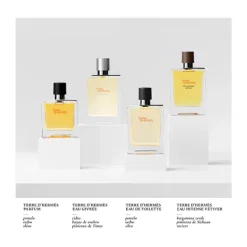 Discount Terre D'hermes Perfumes