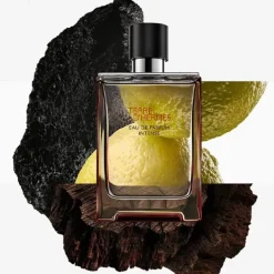 Terre D'hermès Perfumes