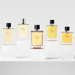 Terre D'hermès Perfumes