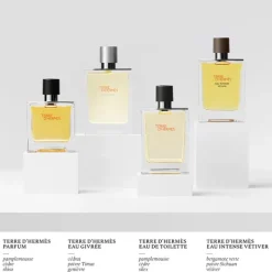 Sale Terre D'hermès Eau Givrée Perfumes