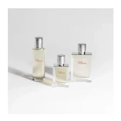 Terre D'hermès Eau Givrée*HERMÈS