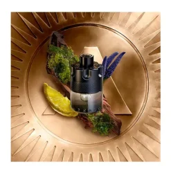 New The Most Wanted Intense Perfumes