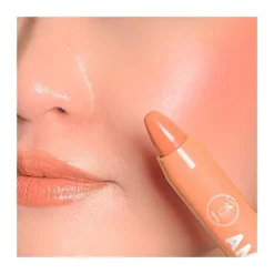 Hot Tinted Lip Crayon Pintalabios