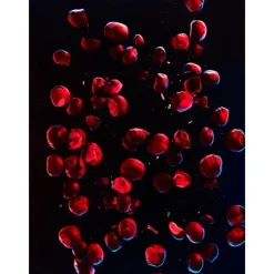 Discount Tommy Impact Spark E.T Perfumes