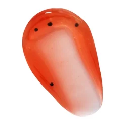 Best I HEART REVOLUTION Tropical Lip Oil