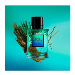 Hot DAVID BECKHAM True Instinct