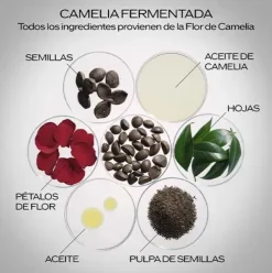 Ultimune Power Infusing Concentrate 3.0*SHISEIDO Clearance