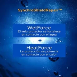 Best SHISEIDO Uv Protective Compact Foundation