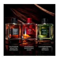 New Vetiver Perfumes