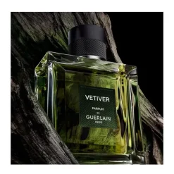 New Vetiver Perfumes