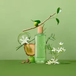 Best VICTORIO & LUCCHINO V&L Aguas Esenciales Te Quiero Verde