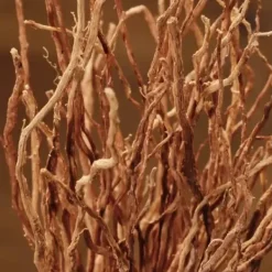 Wanted Eau De Toilette*AZZARO Outlet