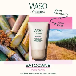 Waso Satocane Pore Purifying Scrub Mask Mascarillas