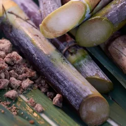 Waso Satocane Pore Purifying Scrub Mask Mascarillas