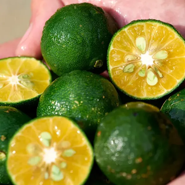 Waso Shikulime Color Control Oil-Free Moisturizer*SHISEIDO Outlet