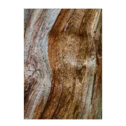 Wood Essence*BVLGARI Best