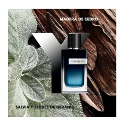 Discount Y Eau De Parfum Perfumes